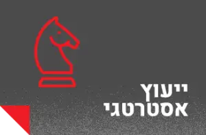 ייעוץ אסטרטגי